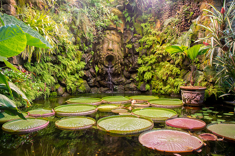 Naples Botanical Garden